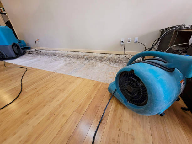 Professional Water Damage Repair technician working in Panama City, FL